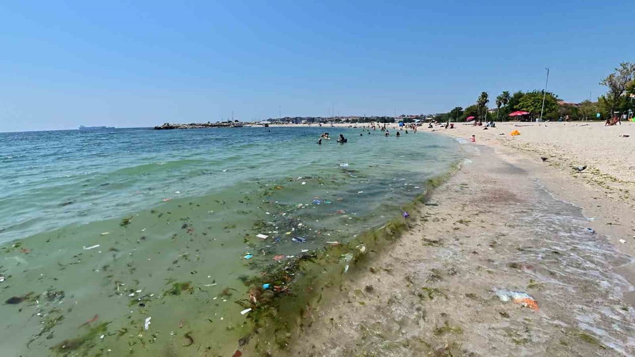 Yeşilköy sahilinde kirlilik uyarıları görmezden geliniyor