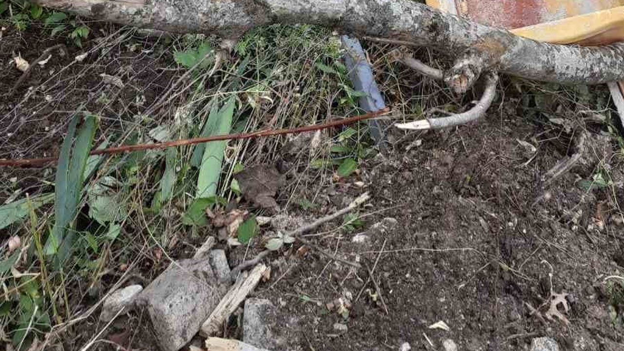 Yokuşta freni boşalan traktör: bir köylü yaşamını yitirdi