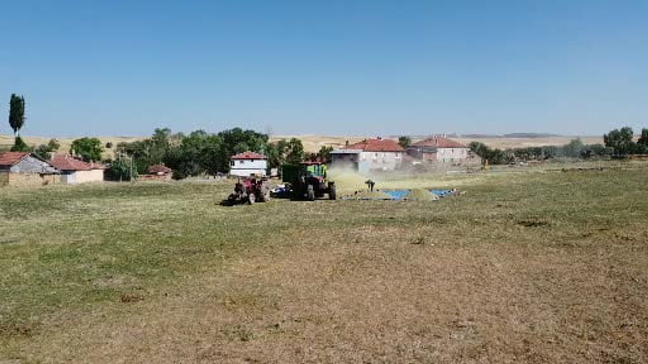 Yozgat'ta mercimek taneleriyle samanlar ayrılıyor: patoz sezonu yoğun mesaiyle sürüyor