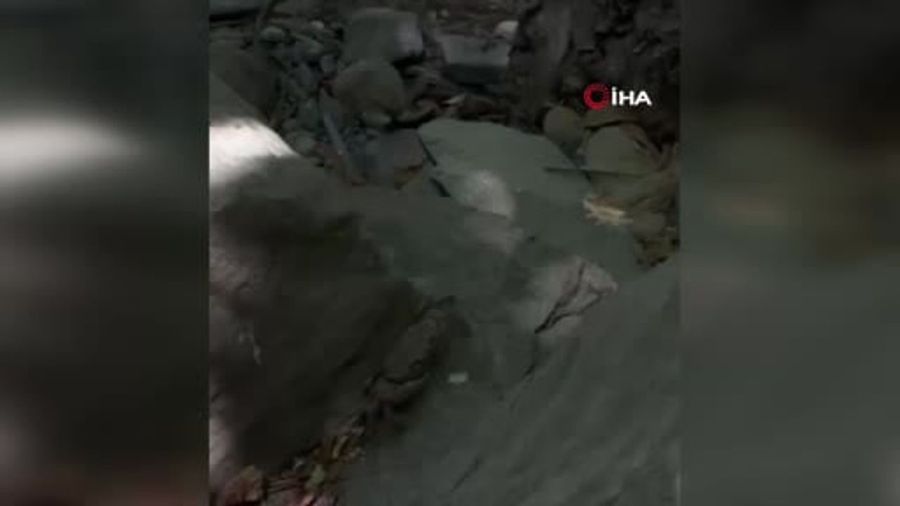 Yüksekova’da taşlar üstünde görülen nadir dev yengeç ilgi çekti