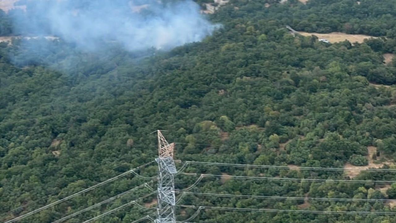 Zamanında müdahale Tavşanlı'daki ormanı geniş hasardan korudu