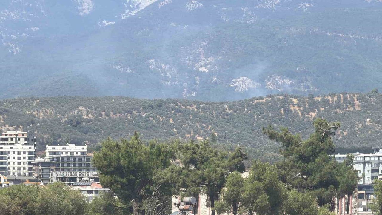 Zeytinlikte başlayan yangın Kazdağı'nın ormanlarına ulaştı