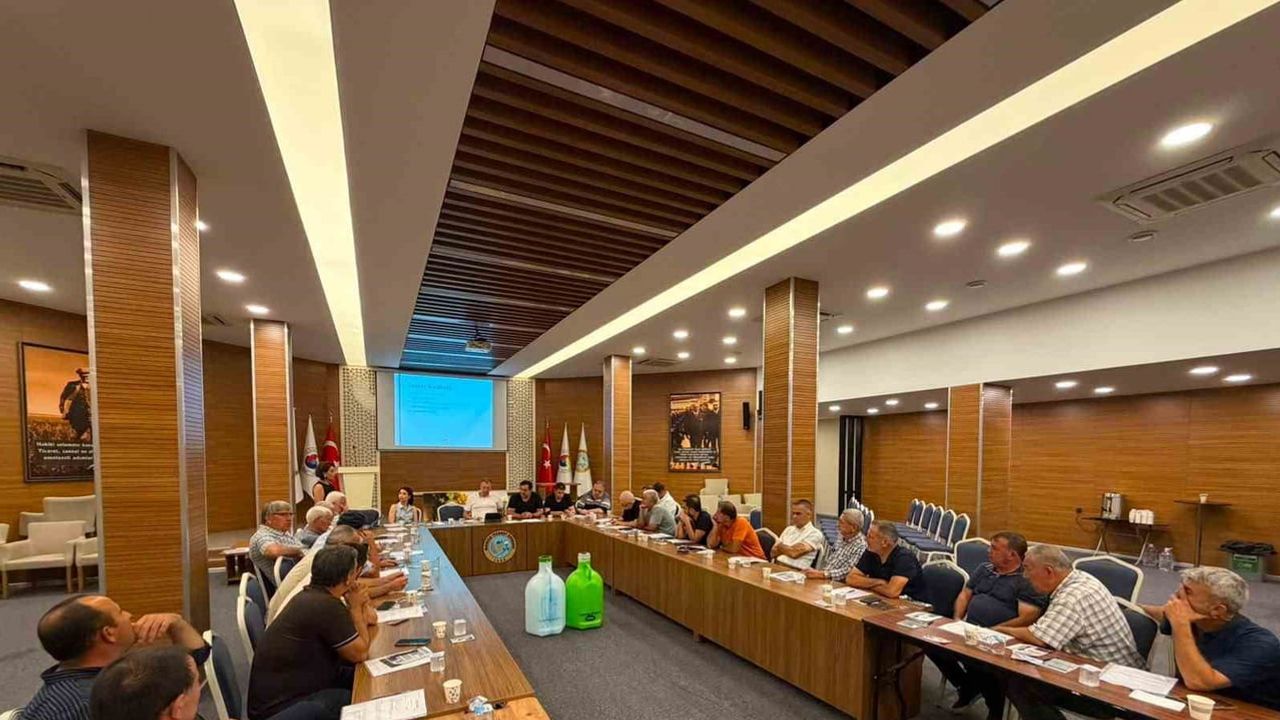 Zeytinyağı sezonu öncesi uyarı: Manisa üretimini kalite gücüne dönüştürmeli