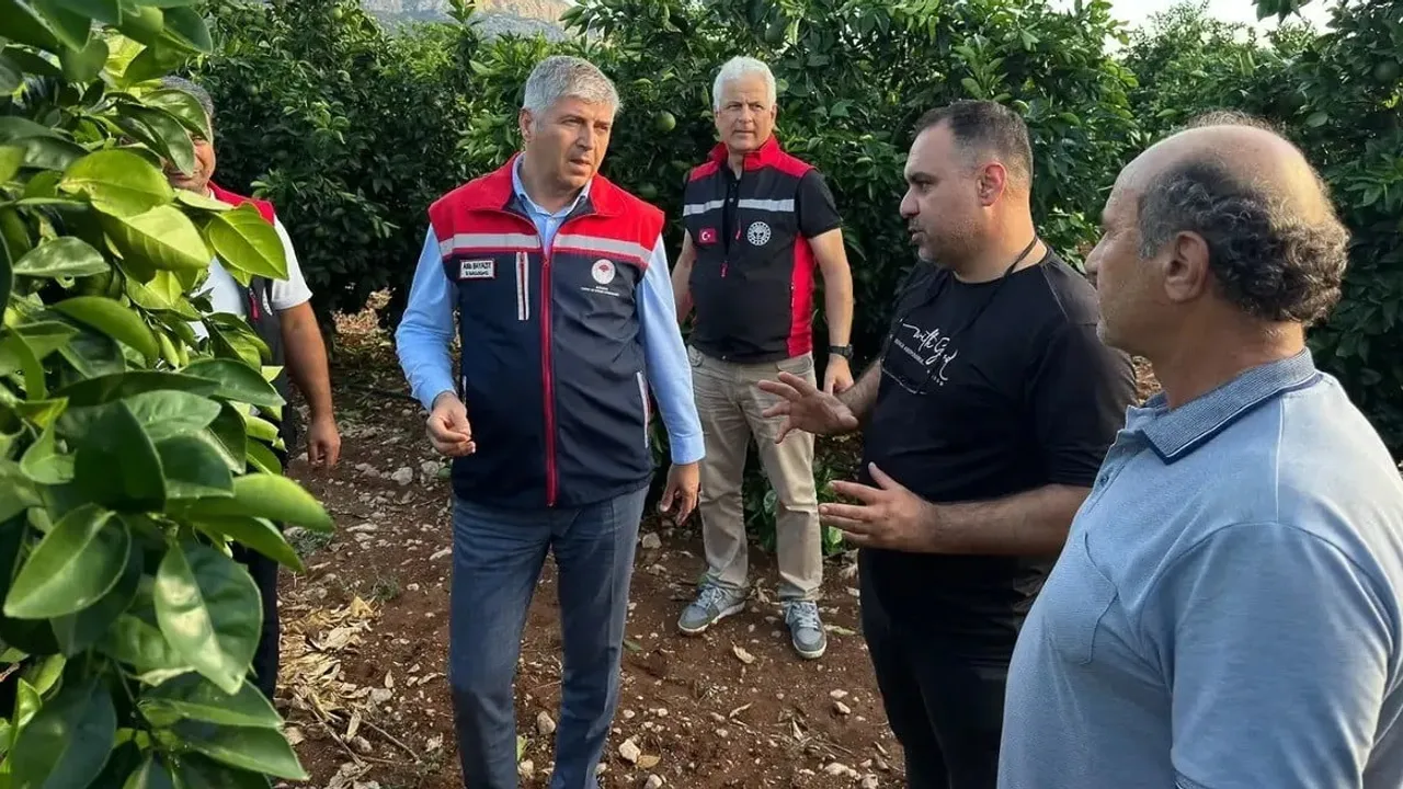 Adana'da dolu sonrası üreticiler tespit ve destek bekliyor
