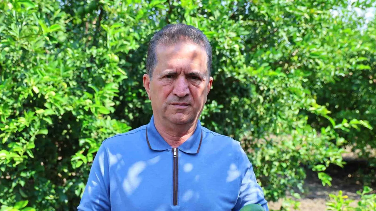 Adana limonunda rota değişimi: Karadeniz kapalı, üretici beklemede