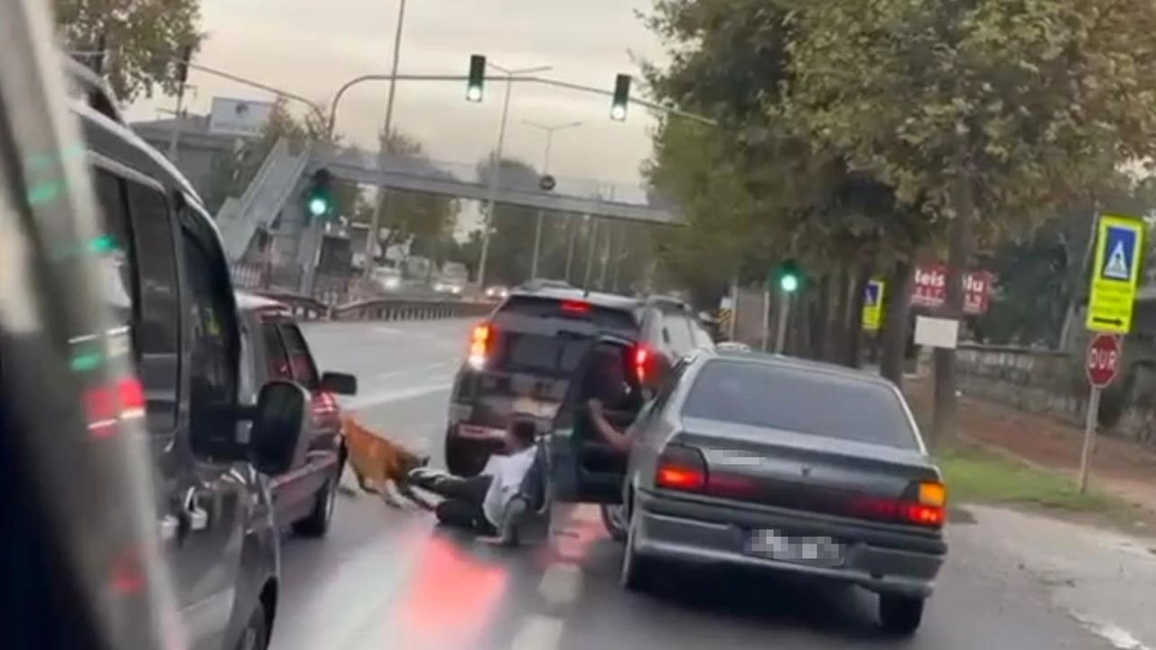 Adapazarı'nda zinciri kopan köpeğin saldırısı cep telefonu kamerasında