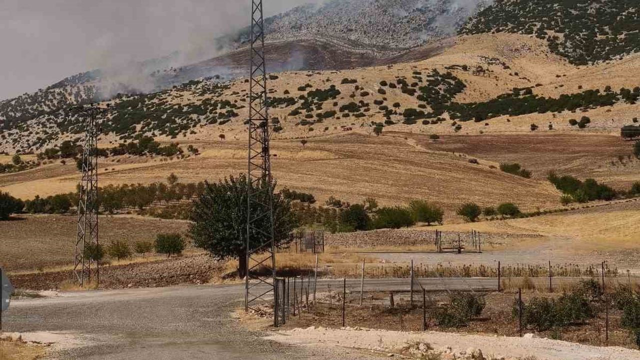 Adıyaman-Çelikhan kara yolunda Palanlı mevkisinde meşe korusunda çıkan yangın kontrol altına alındı