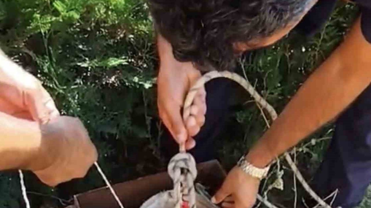 Adıyaman'da sondaj kuyusundan itfaiyenin müdahalesiyle kurtarılan yavru kedi mahalle sakinlerinin ilgisini çekti