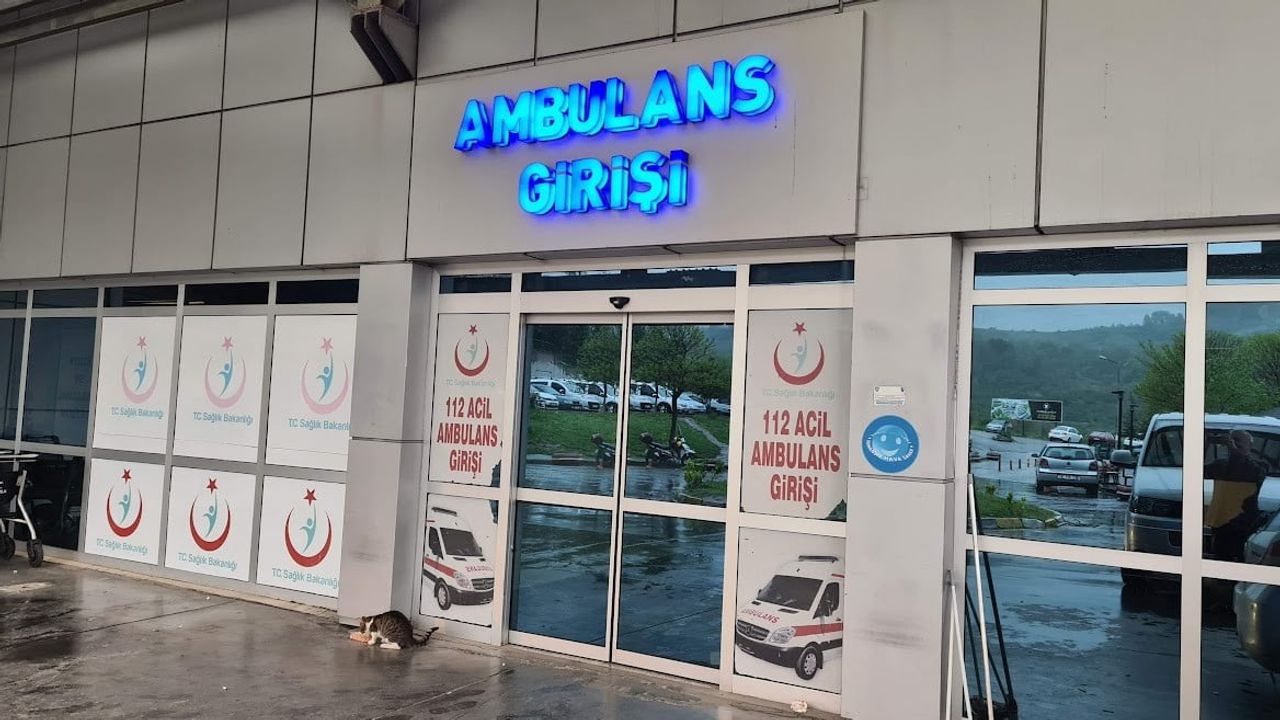 Ağaç bakımında düşüş zinciri: iki kişi yaralandı