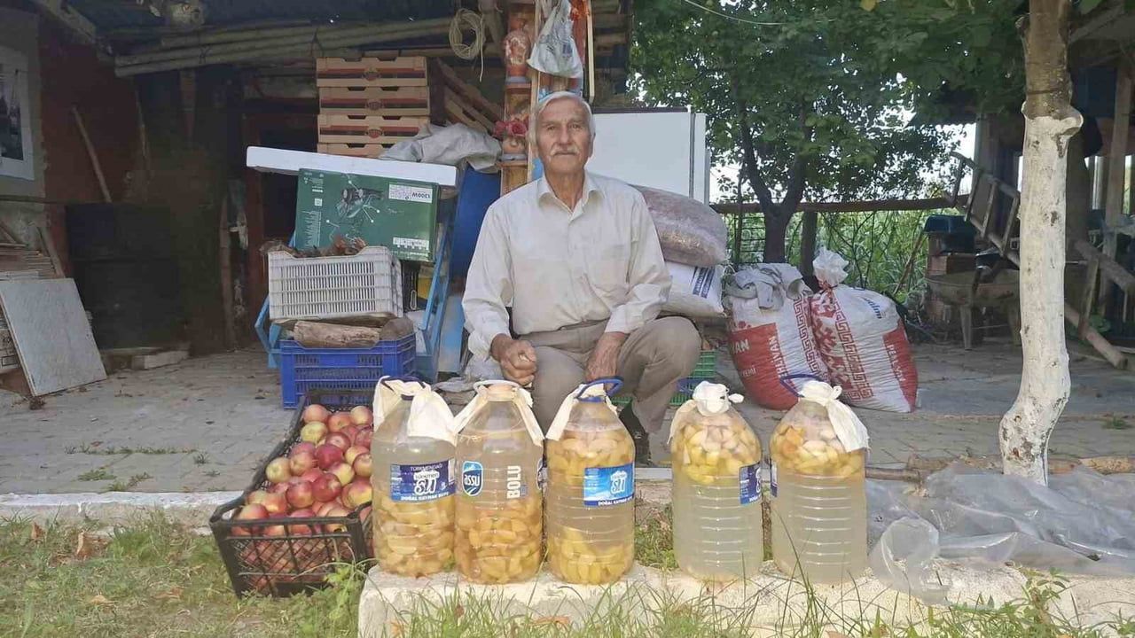 Ağaç dibindeki elmalar doğal sirkeye dönüşüyor