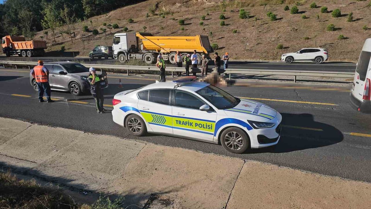 Ahırdan kaçan büyükbaş çevre yolunda dört aracın karıştığı kazaya yol açtı