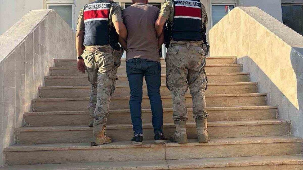 Akçakale'de kesinleşmiş hapis cezası olan dolandırıcı jandarmaya yakalandı