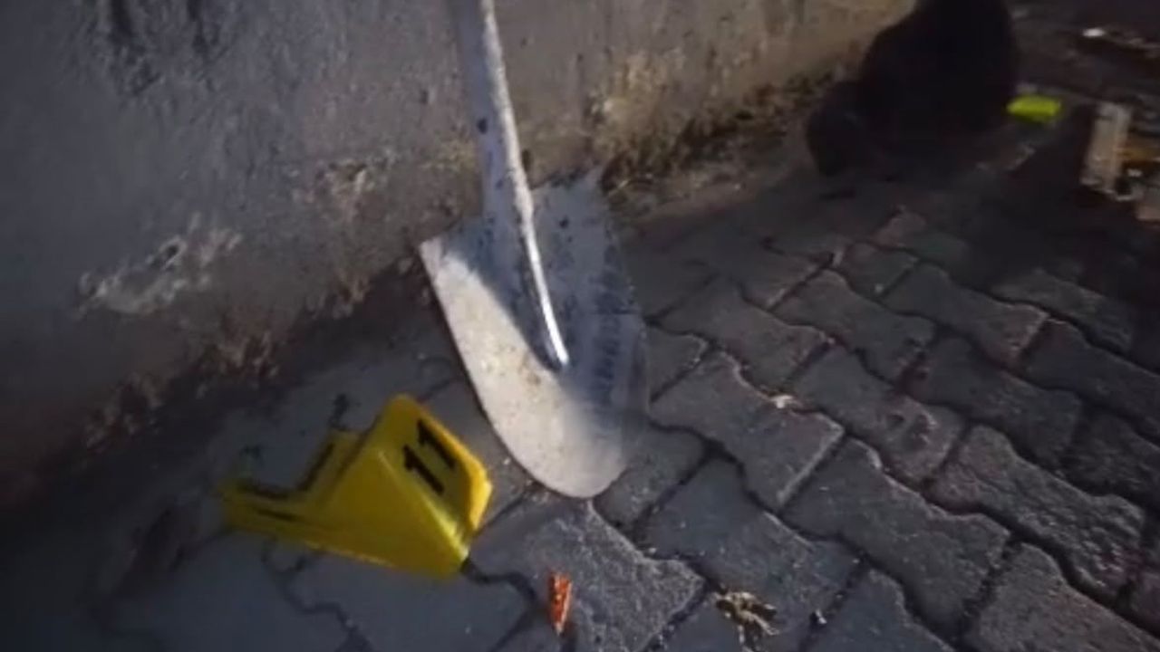 Akşam tartışması kürekli kavgaya dönüştü, Gölhisar'da iki araç zarar gördü
