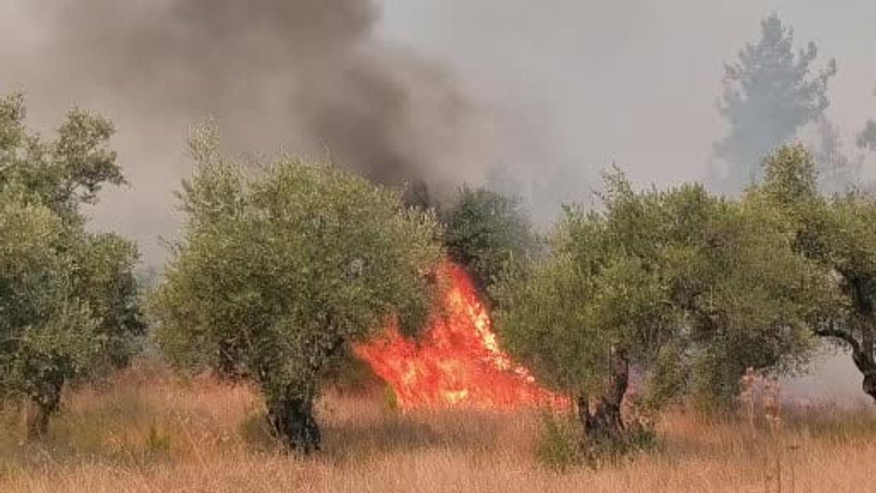 Aksu'da alevlere karşı seferberlik sürüyor