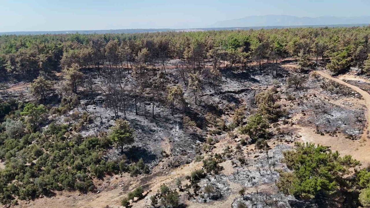 Aksu'da yangının enerjisi düşürüldü; soğutma, tahliye ve hasar tespiti sürüyor