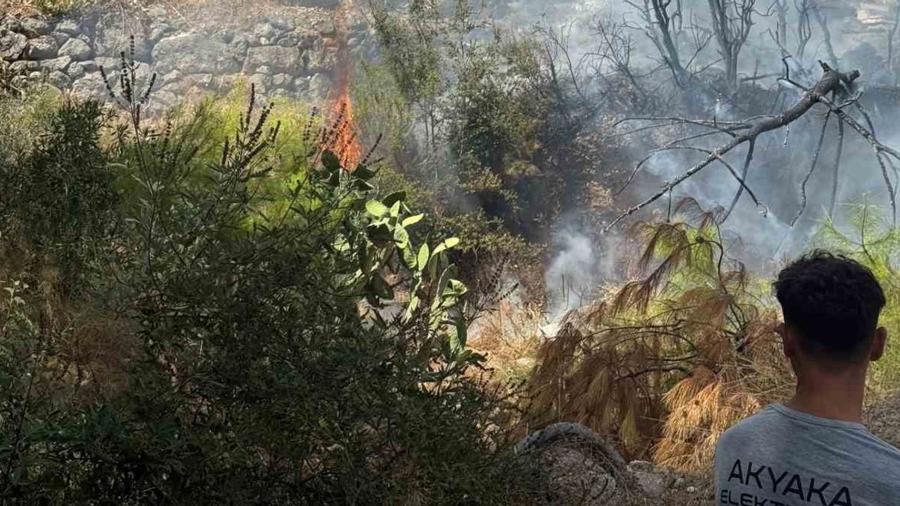 Akyaka'da zeytinlikte çıkan ot yangını yerleşime ulaşmadan söndürüldü