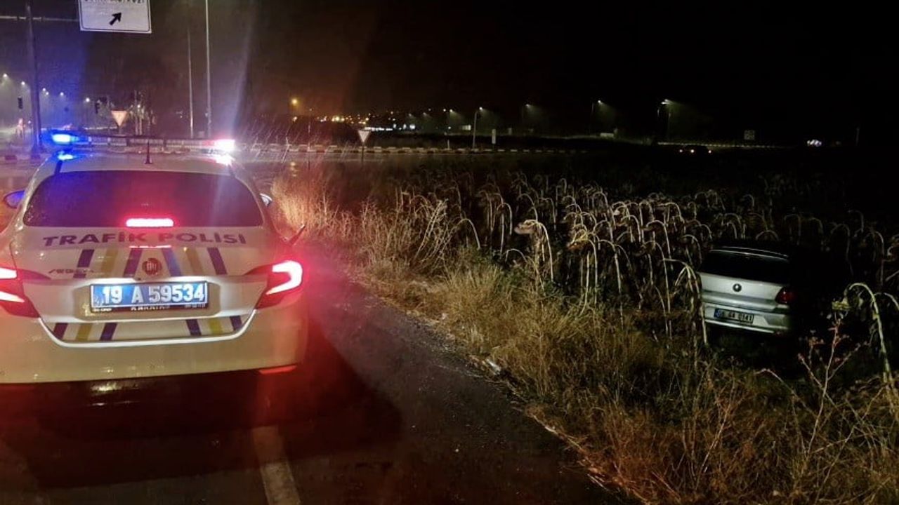 Alaca sanayi kavşağında yağış nedeniyle tarlaya uçan otomobilde 2 kişi yaralandı