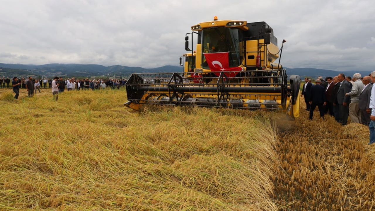 Alaçam tarlalarında bereket: 2026 çeltik hasadı törenle başladı