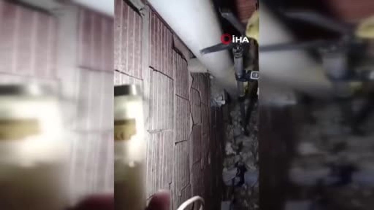 Alanya’da havalandırma boşluğundan kurtarılan kedi muayene edilip doğaya bırakıldı