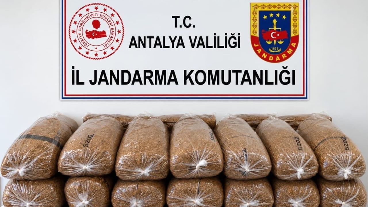 Alanya'da kolilerde gizlenen 144 kilo kıyılmış tütün ortaya çıkarıldı