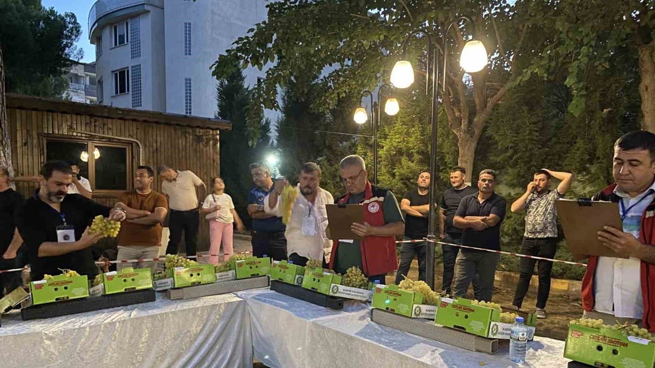 Alaşehir'de kelter yarışı ve üzüm şöleni coşkuyla başladı