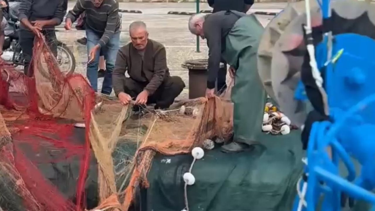 Amasra'da ağlara doluşan palamutlar kasaları doldurdu
