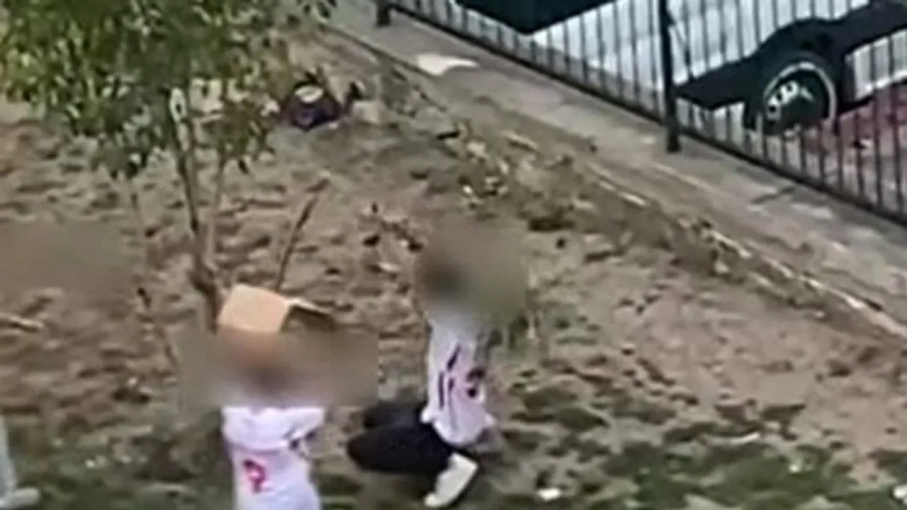 Amasya'da oyun parkında kartonları saçan çocukların görüntüsü belediye paylaşımıyla gündeme geldi