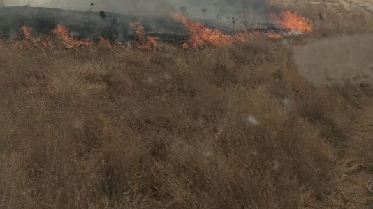 Anız yangını Bingöl havalimanı kavşağında kısa sürede kontrol altına alındı