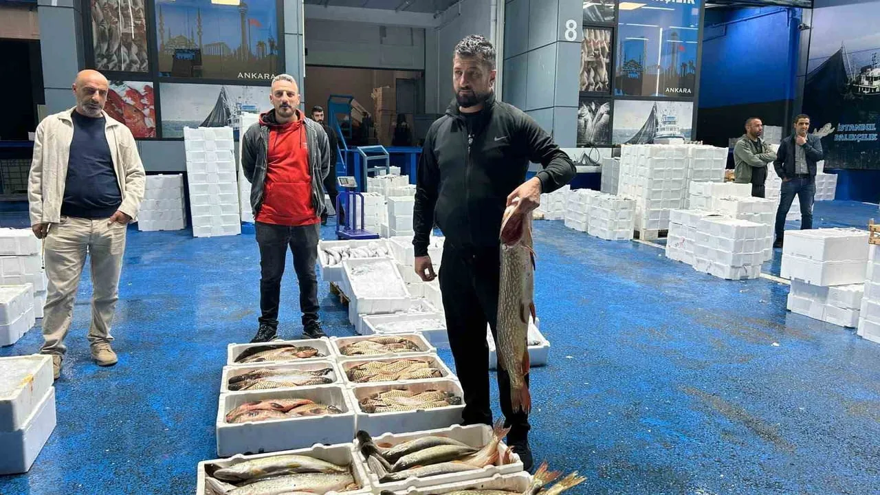 Ankara'da halde bereket: il müdürü balıkçıları ziyaret etti