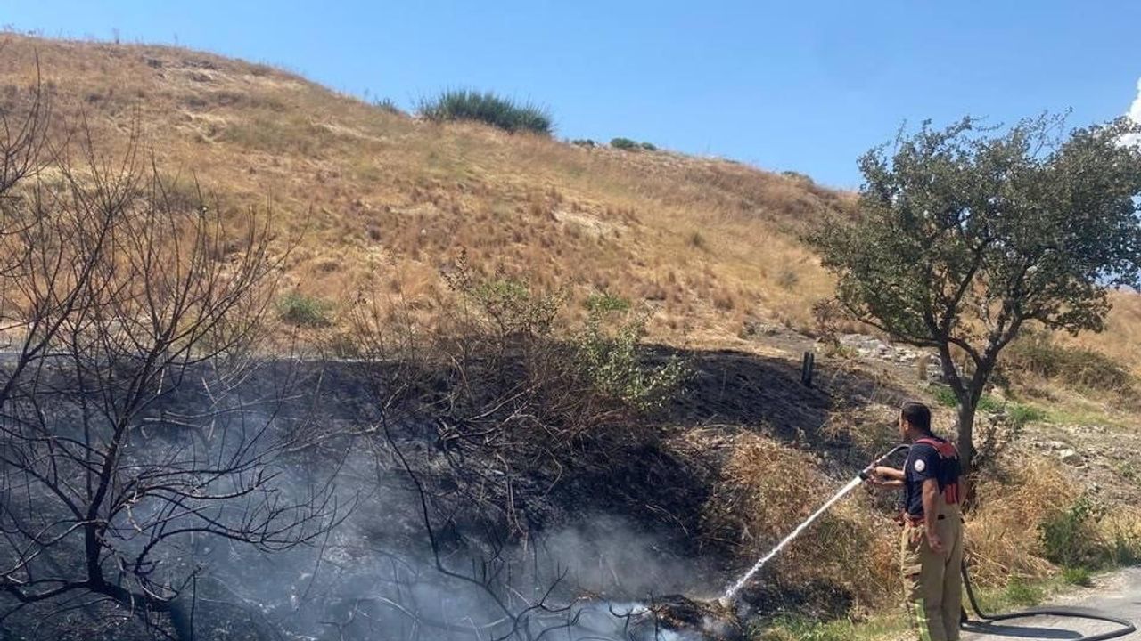 Antakya'da otluk yangını hızlı müdahale ile sınırlı kaldı