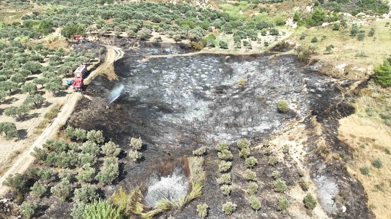 Antakya'da zeytinlik yangını itfaiyenin müdahalesiyle söndürüldü
