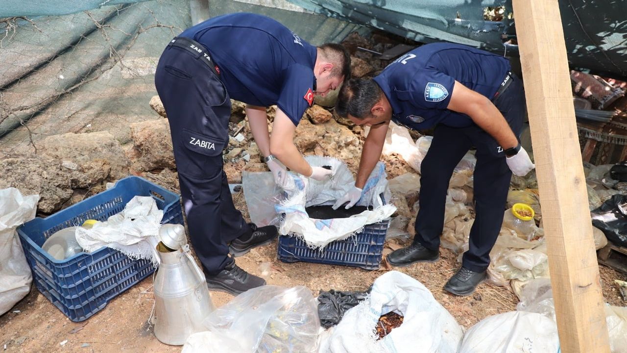 Antalya'da kaçak baharat üretimine baskın: yarım ton keçiboynuzu ve binlerce paket ürüne el konuldu