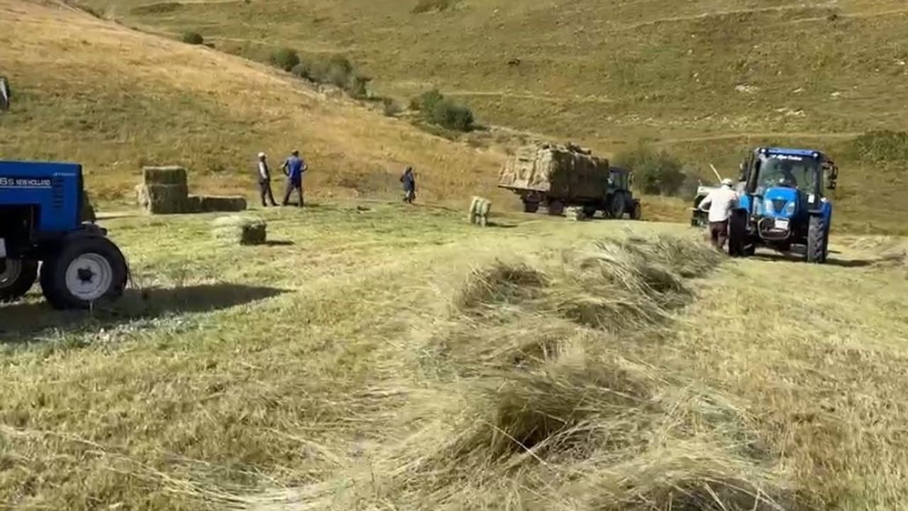 Ardahan'da kışlık yem hazırlığı: üreticiler zorlu koşullarda zamanla yarışıyor