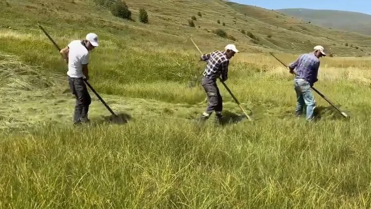 Ardahan'da sağanak işleri aksattı: çiftçiler imeceyle telafi ediyor