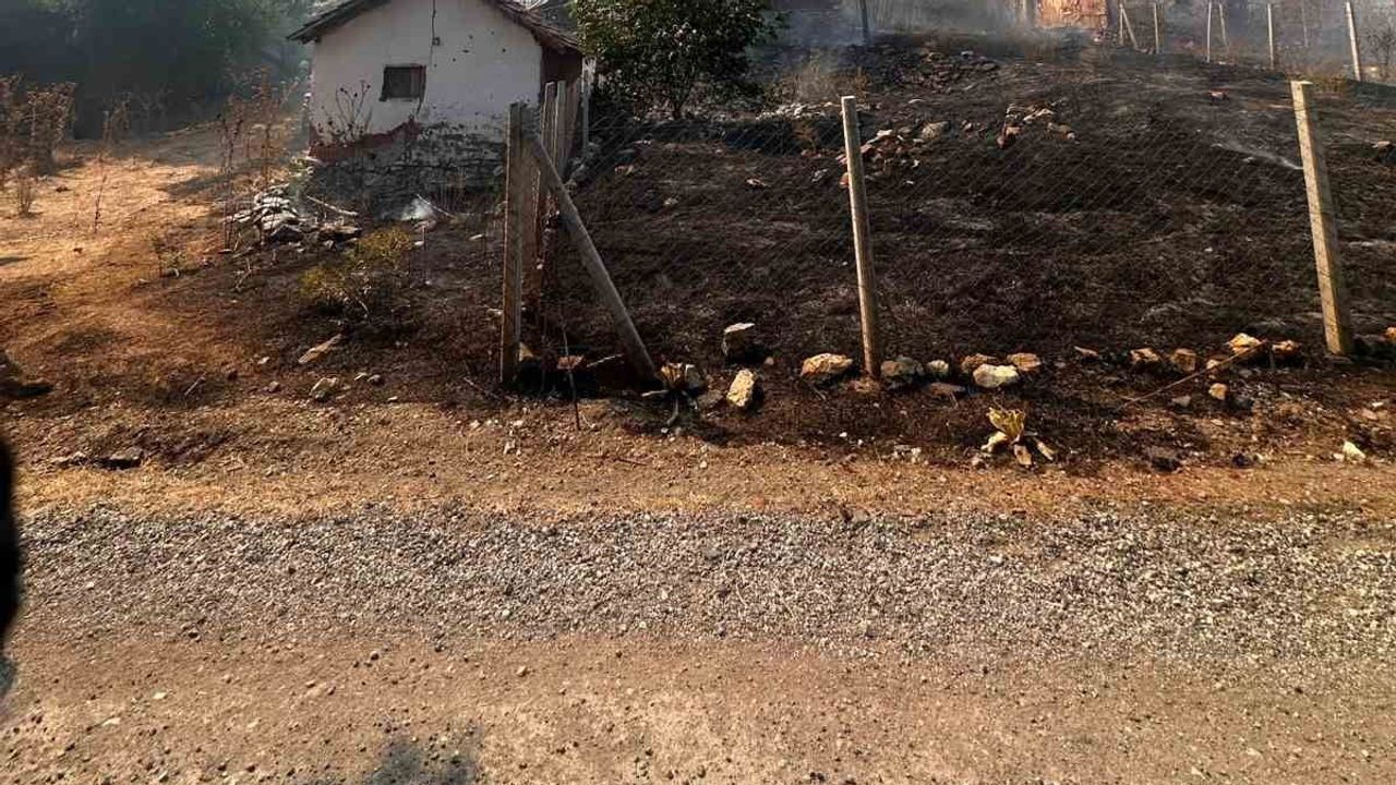 Aşağı Armutlu'da otluk yangını ormana sıçradı; hızlı müdahale yayılmayı engelledi