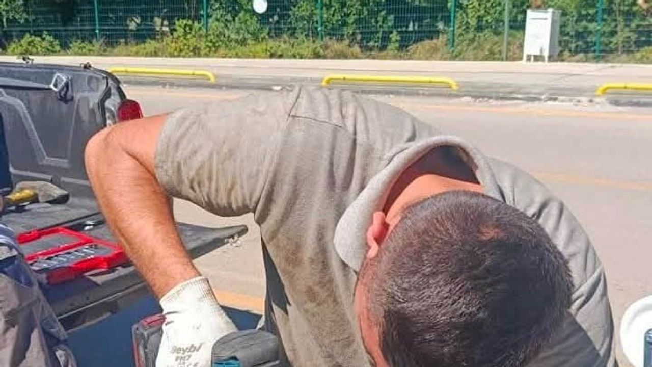 Atık konteynerlerine müdahale: Sinop'ta yerinde onarım seferberliği
