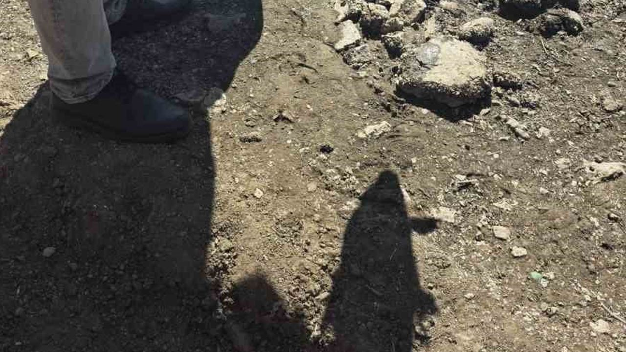Atikhisar barajında kıyılarda köpürme görüldü: balık ölümlerinin nedeni araştırılıyor