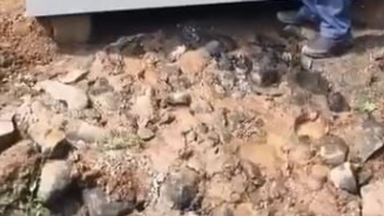 Atıl buzdolabı köy yoluna soğuk su getiriyor