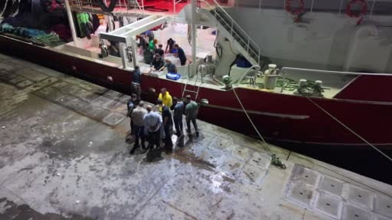 Av yasağının kalkmasıyla İstanbul'da yeni sezon ağları gece açıldı