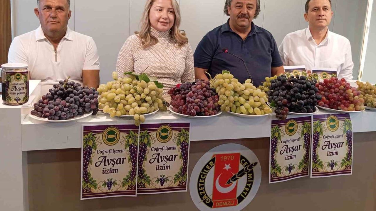 Avşar üzümü tescille kayıt altına alındı, festival coğrafi işaretle yeni bir döneme giriyor