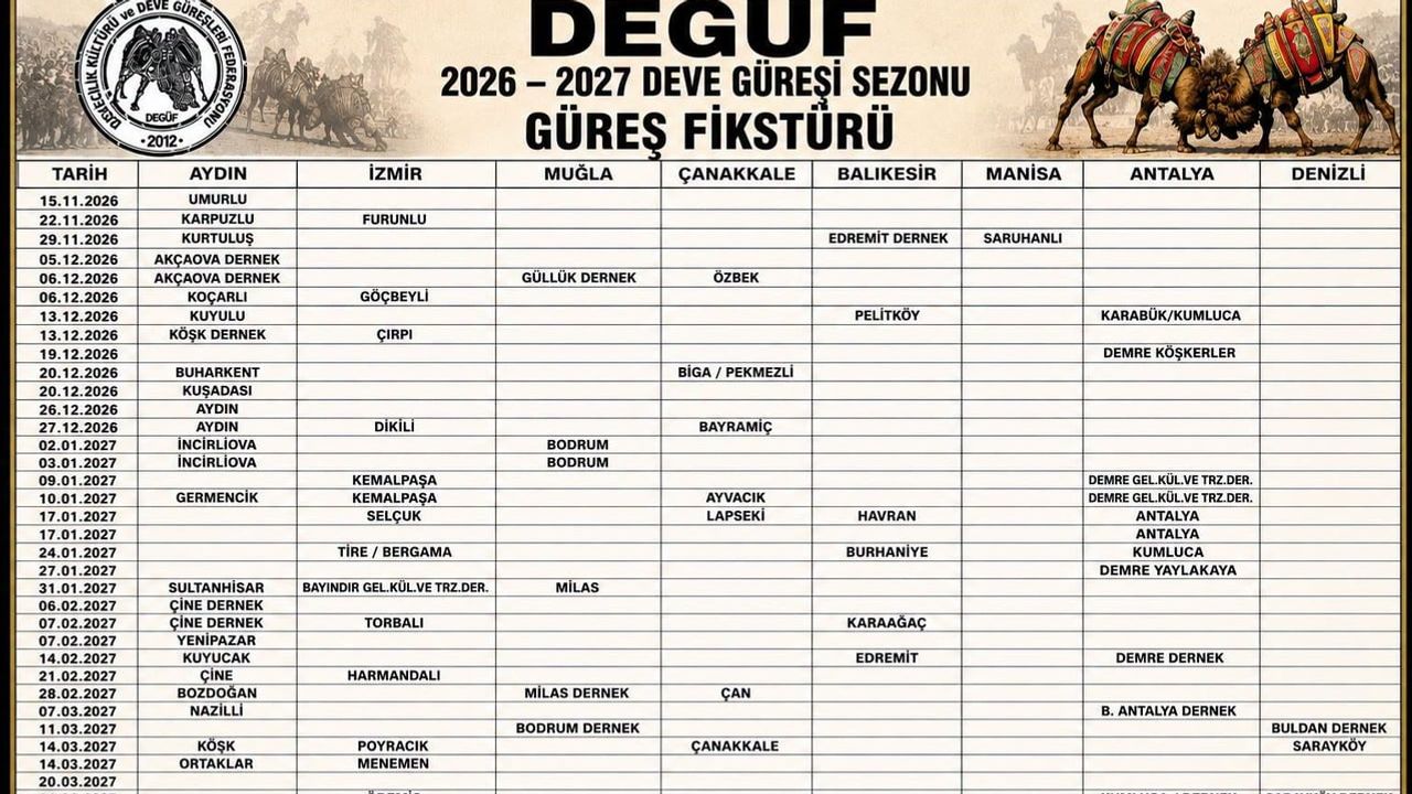 Aydın'da deve güreşi sezonu umurlu ile 15 kasım'da başlıyor