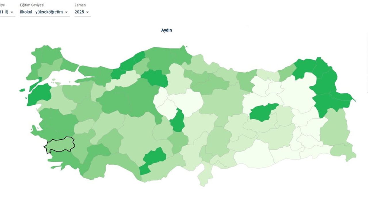 Aydın'da eğitim süresi 16 yıla indi, kadınların öğrenimi erkeklerden bir yıl daha uzun