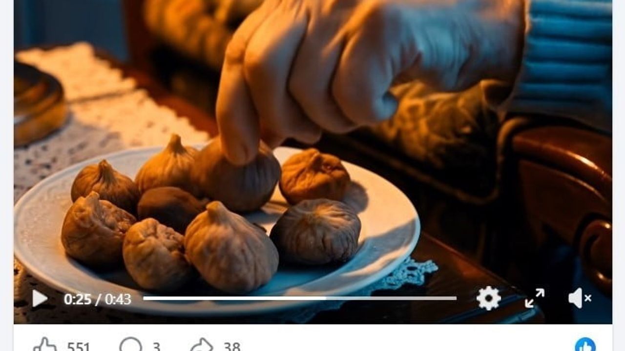 Aydın inciri için kısa film kampanyası başlatıldı