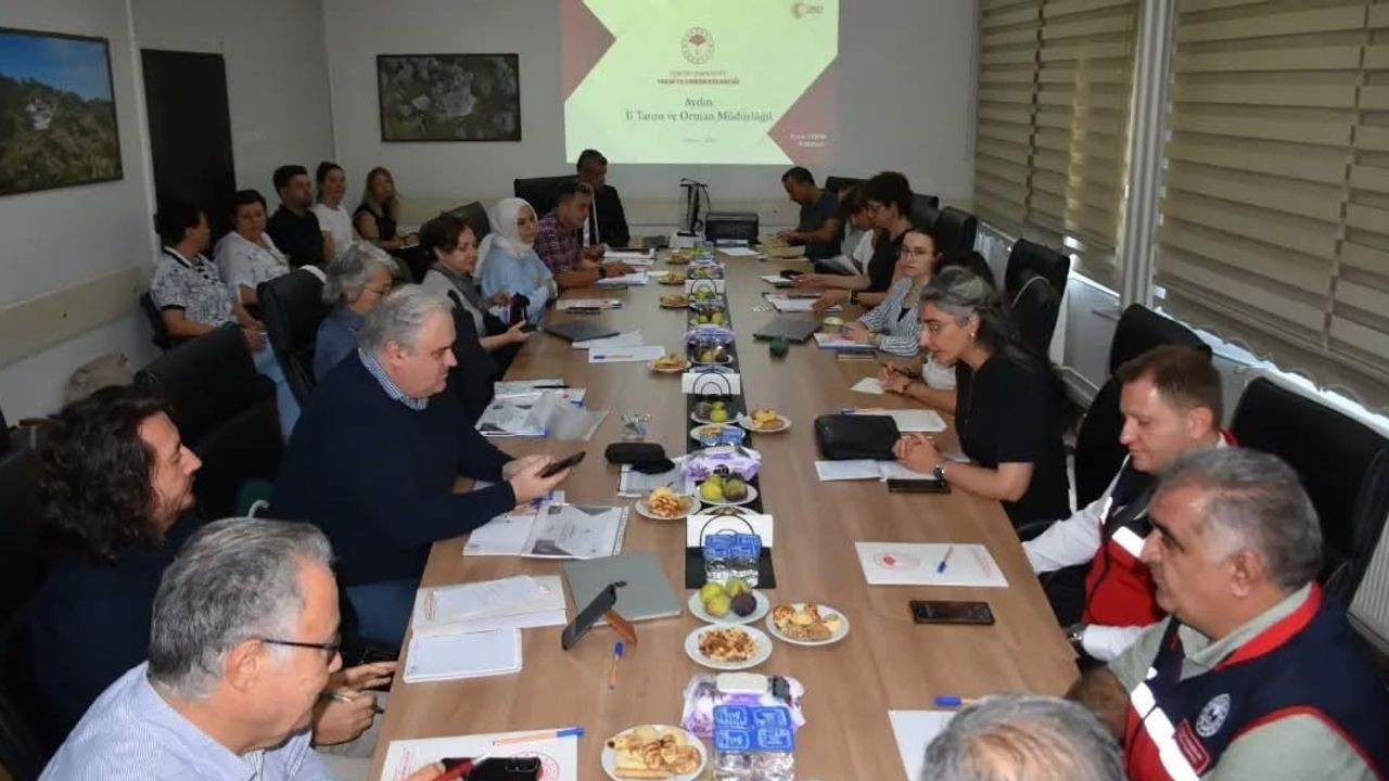 Aydın incirinde gıda güvenliğini güçlendirme amaçlı AB değerlendirmesi
