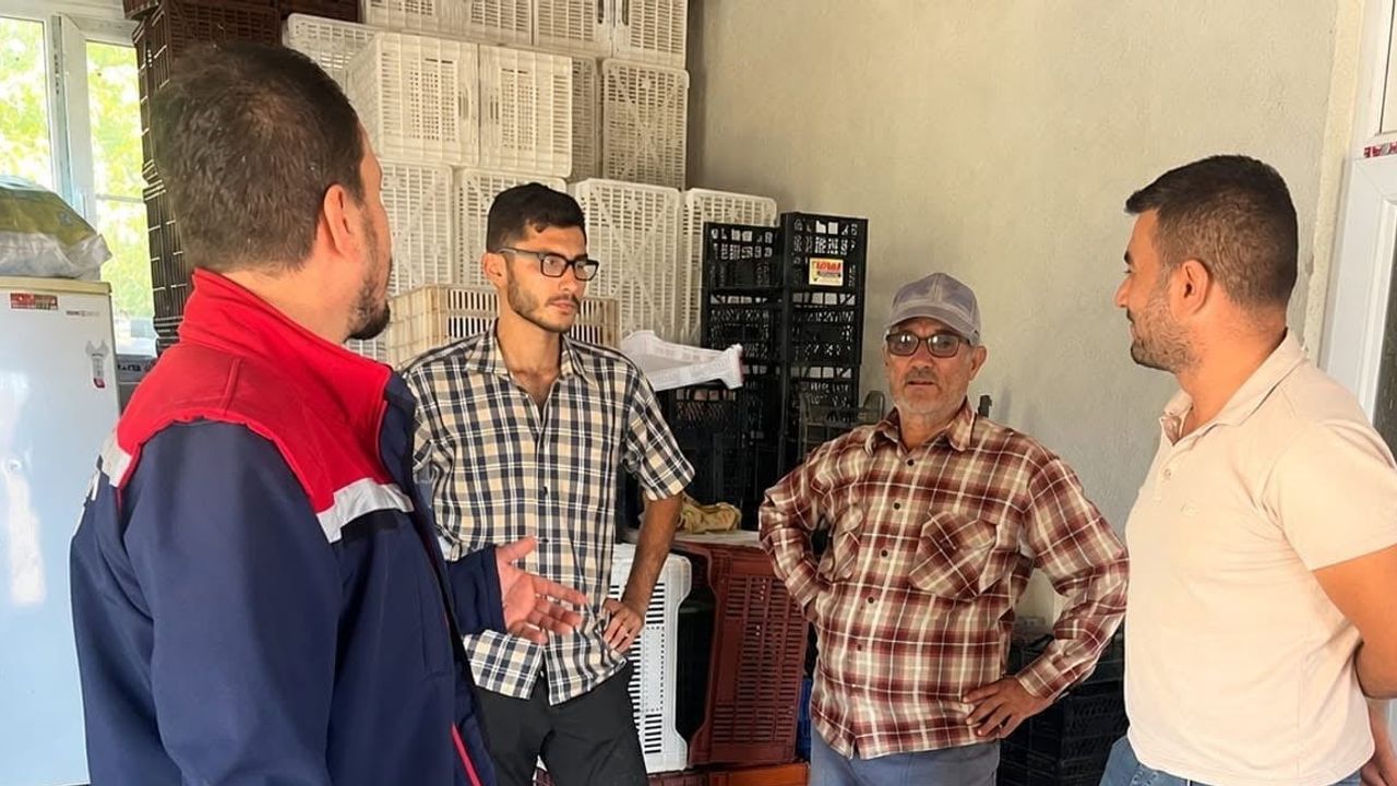 Aydın incirinde kalite güvencesi: Bozdoğan’da saha denetimleri yoğunlaştı