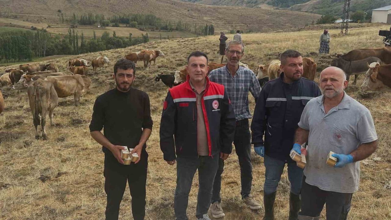 Aydıntepe'de sonbahar yoncası timpani tehlikesi taşıyor