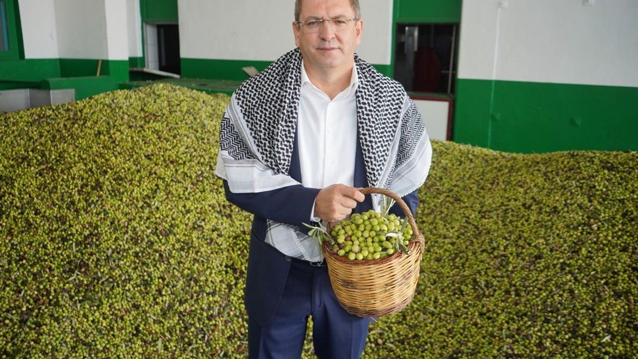 Ayvalık zeytin hasadıyla cumhuriyet coşkusunu festivalde buluşturuyor