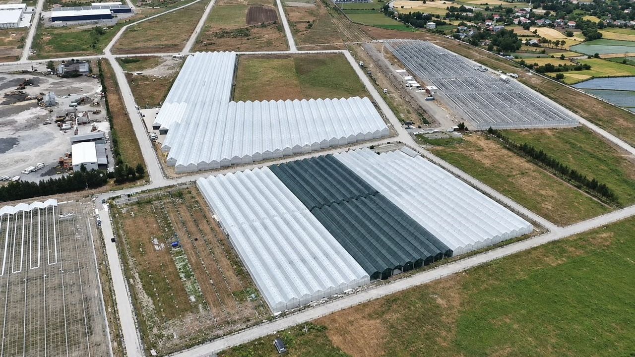 Bafra sera organize tarım bölgesi hızla doluyor: yüzde 85 kapasiteye ulaşıldı