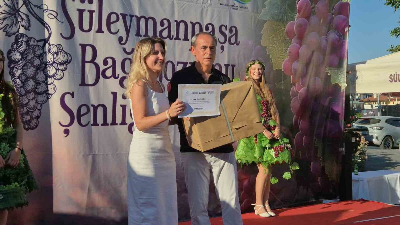 Bağ bozumu şenliğinde zeytinyağlı sarma ve üzüm tatlıları arasında lezzet yarışı