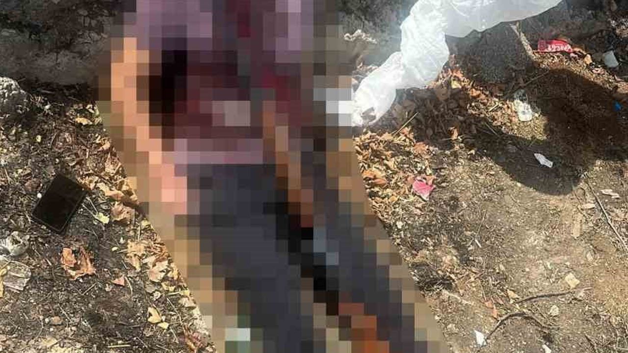 Bağlar'da parkta pompalı tüfekle ölü bulunan kişinin kimliği belirsiz